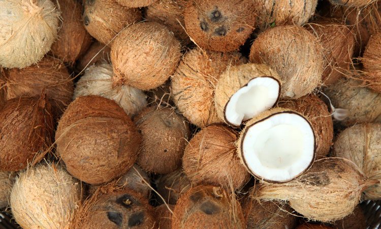 Coconut Soap